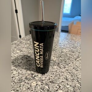 Metal Cancun 24oz Black with Design Traveler